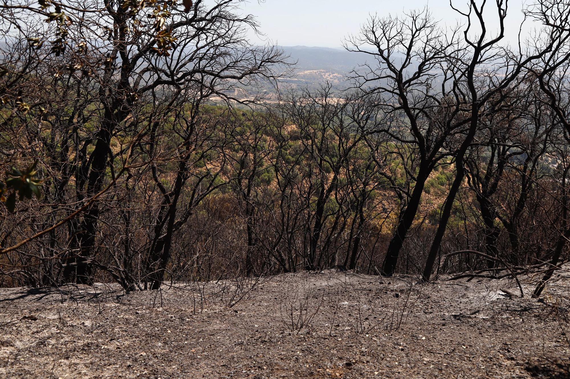 El Lagar de la Cruz, día uno tras el incendio