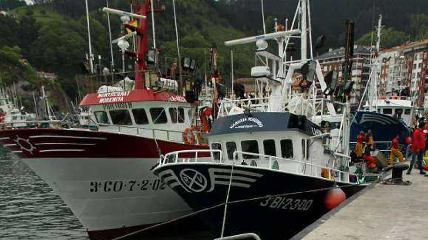 Cajas de anchoa en un puerto del Cantábrico. / alfredo aldai