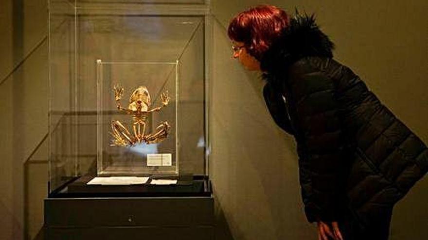 Una visitant observa una de les peces exhibides a la mostra.