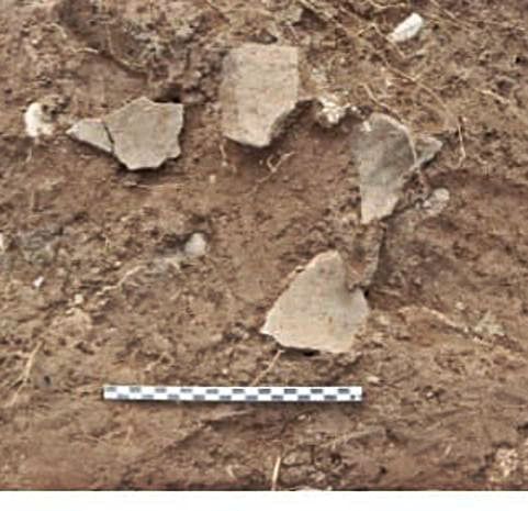 Restos de diversos materiales hallados en la braña Buxana.