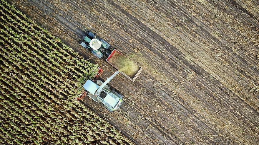 Campo a través