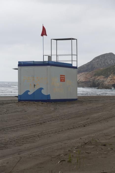 Los perros pueden acceder al playón de Bayas