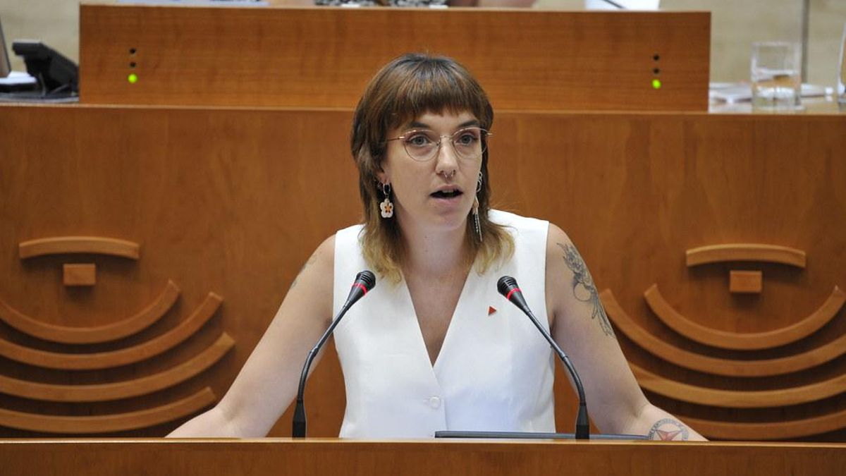 La diputada de Unidas Nerea Fernández, este viernes, en la Asamblea.