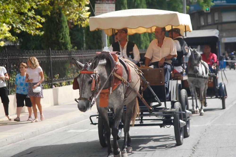 Día del caballo en la Feria de Murcia 2018