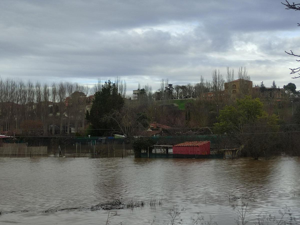 GALERÍA / El río Órbigo desbordado en Benavente, en imágenes GALERÍA / El río Órbigo desbordado en Benavente, en imágenes