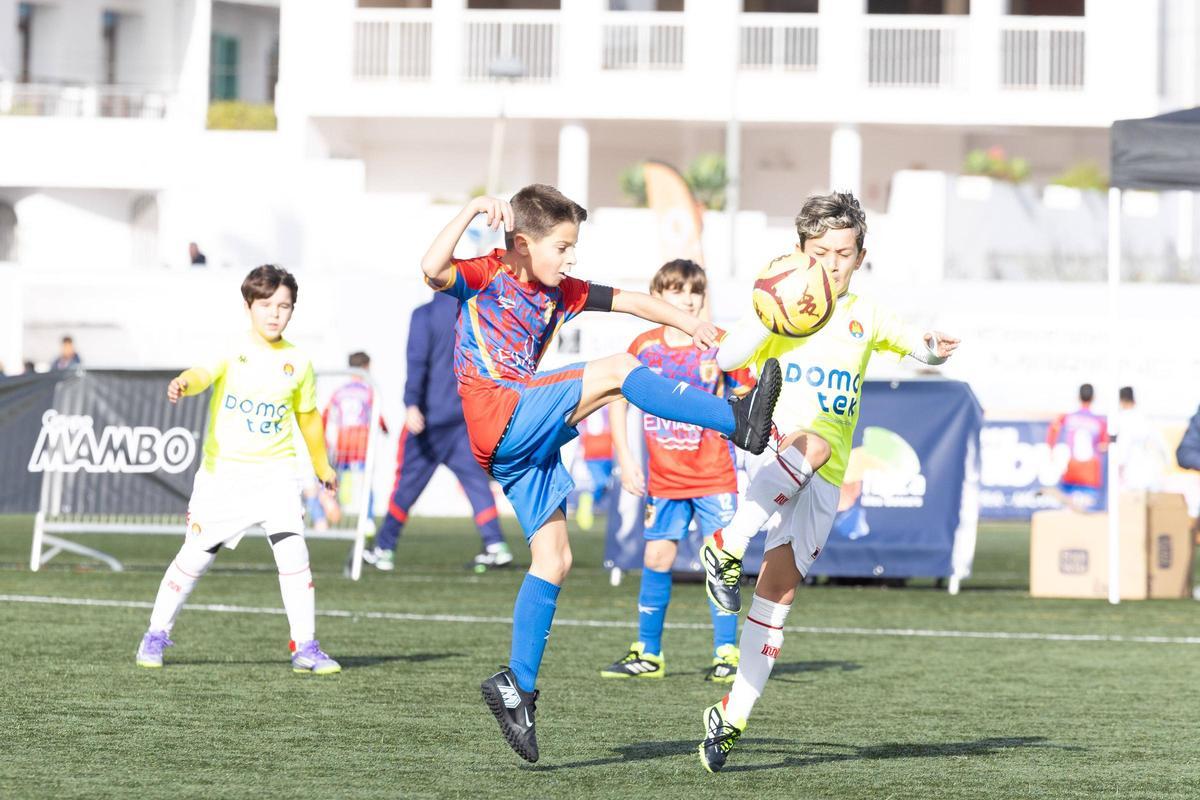 Galería: Torneo Fibwi en Sant Antoni Galería: Torneo Fibwi en Sant Antoni