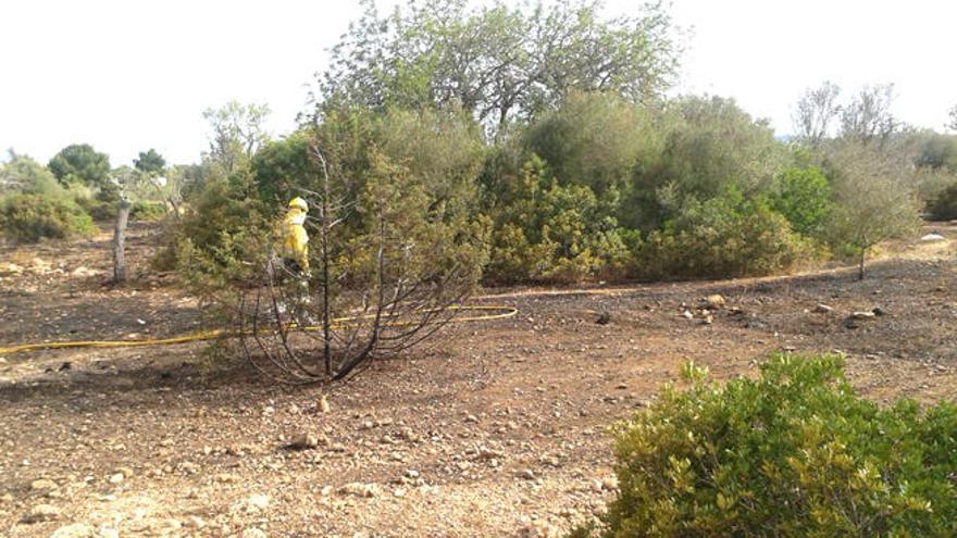 Zona de Can Ramon donde se produjo el primer incendio.