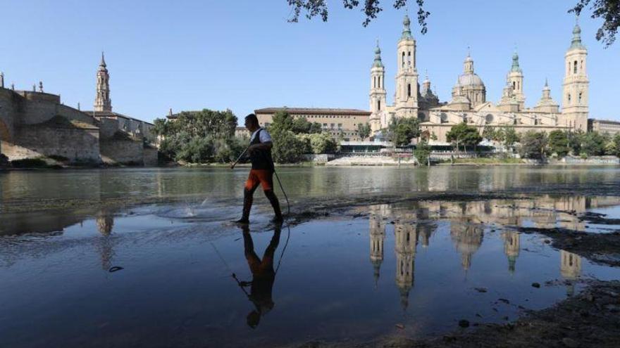 Zaragoza lucha contra la mosca negra en el Ebro y en el Gállego
