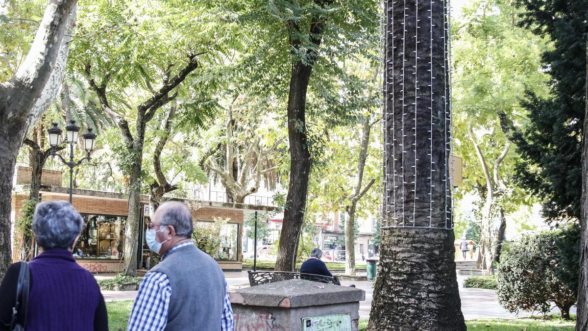 Ya han comenzado los trabajos de instalación de la iluminación navideña.