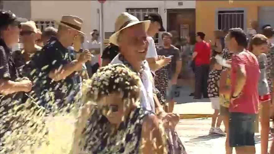 El olor de 'Les Alfàbegues' inunda las calles de Bétera