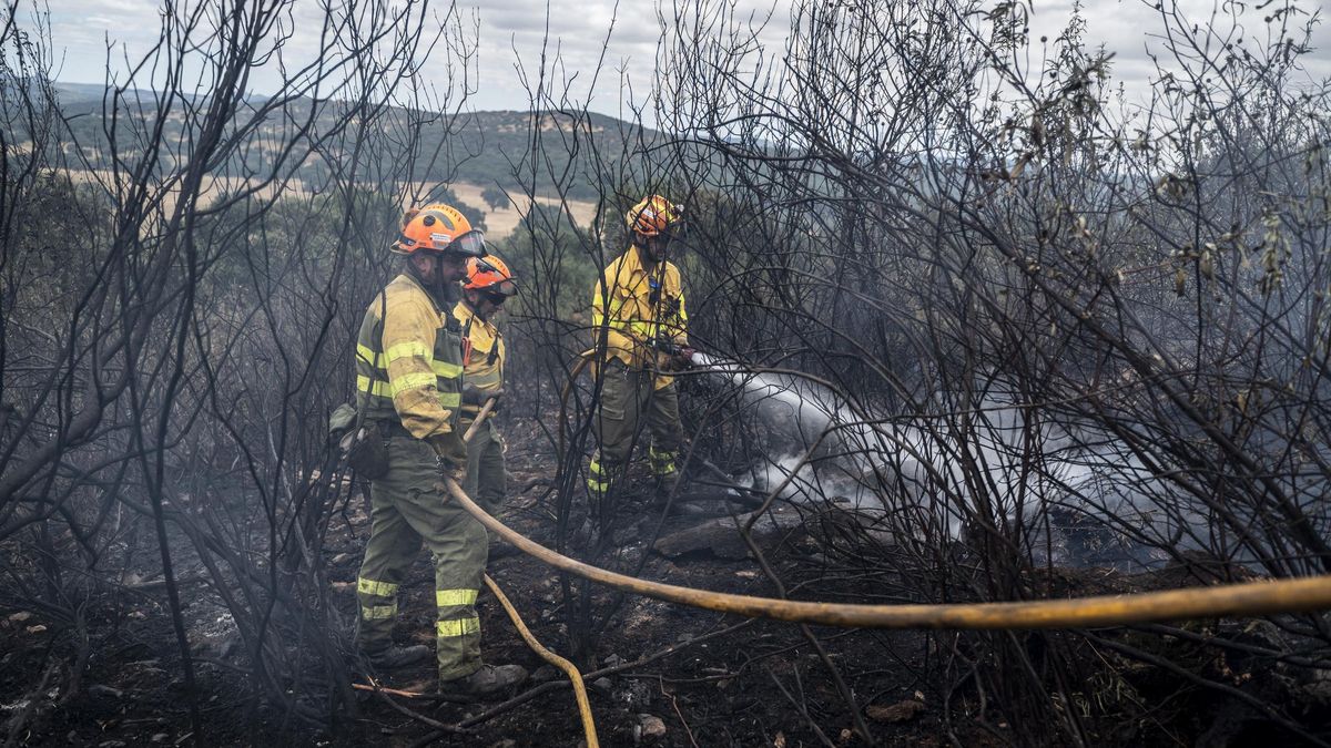 Vídeo | Los bomberos intervienen en un incendio en Cáceres