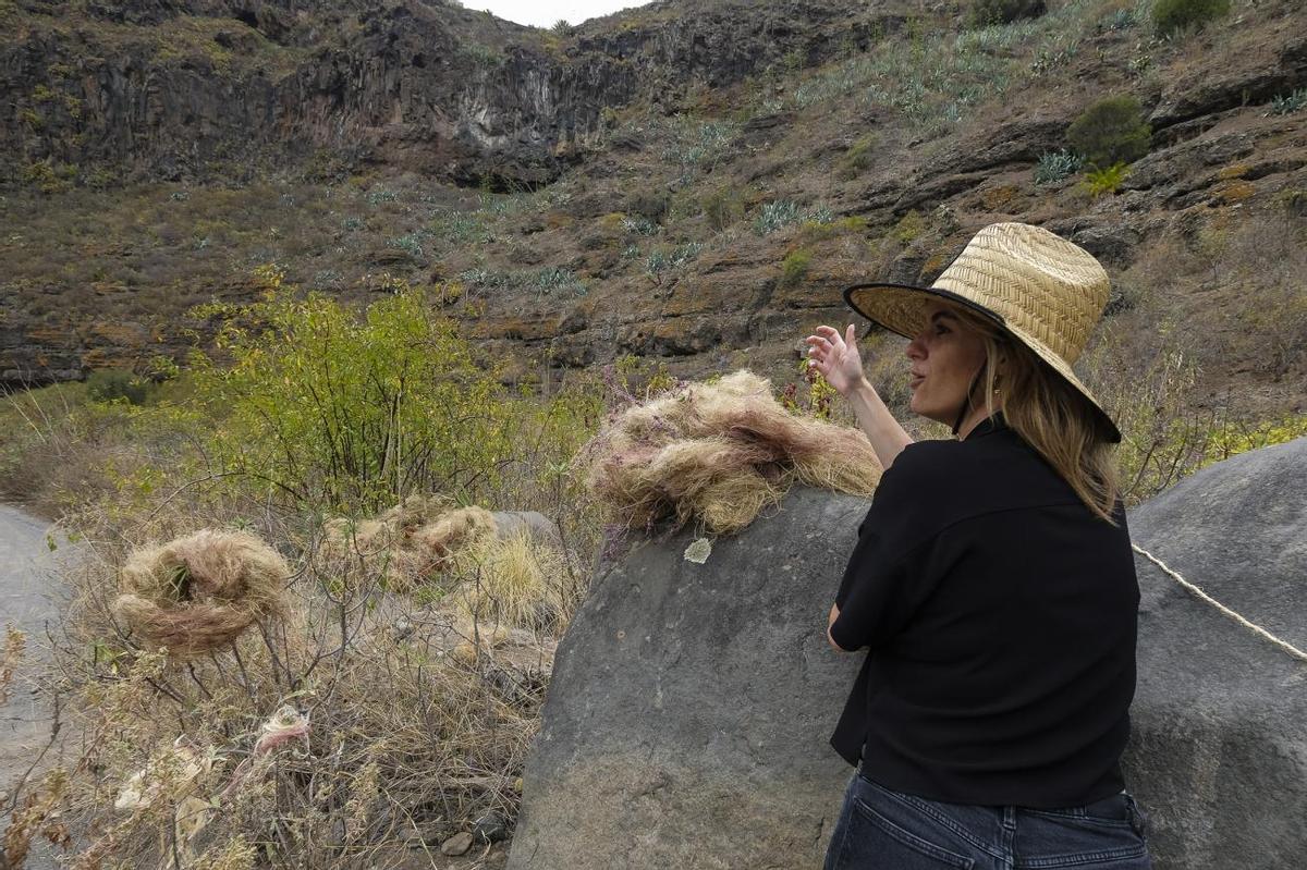 Paseo por el barranco con la nueva app Kleos Guiniguada Paseo por el barranco con la nueva app Kleos Guiniguada