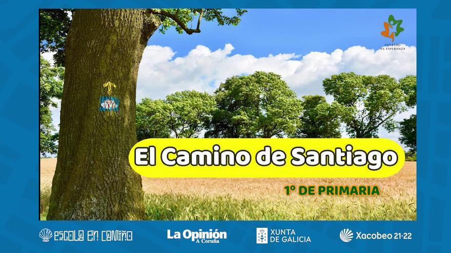 Que sabes do Camiño de Santiago?