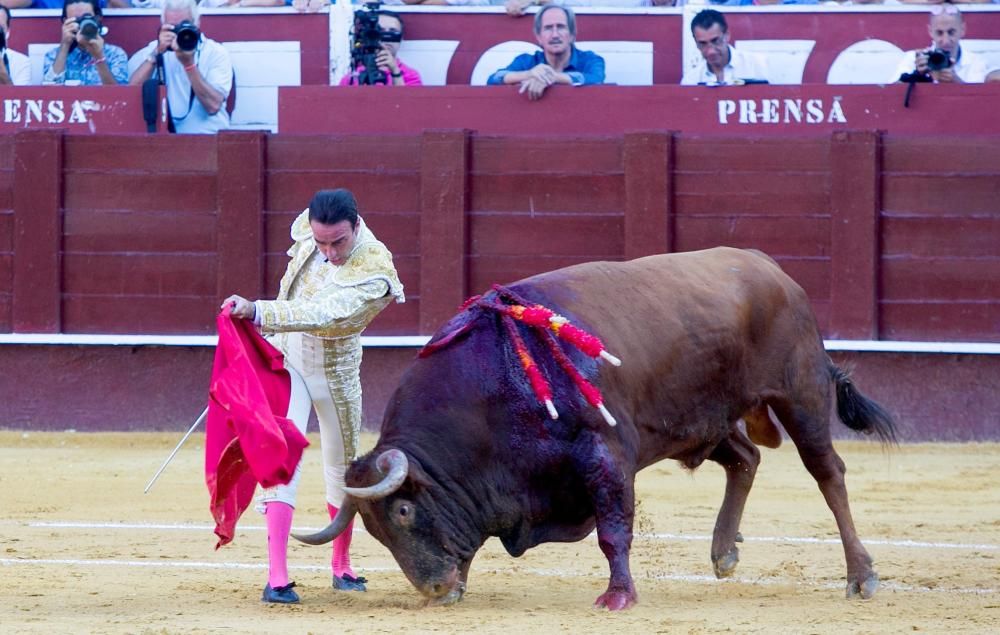 TOROS EN MÁLAGA