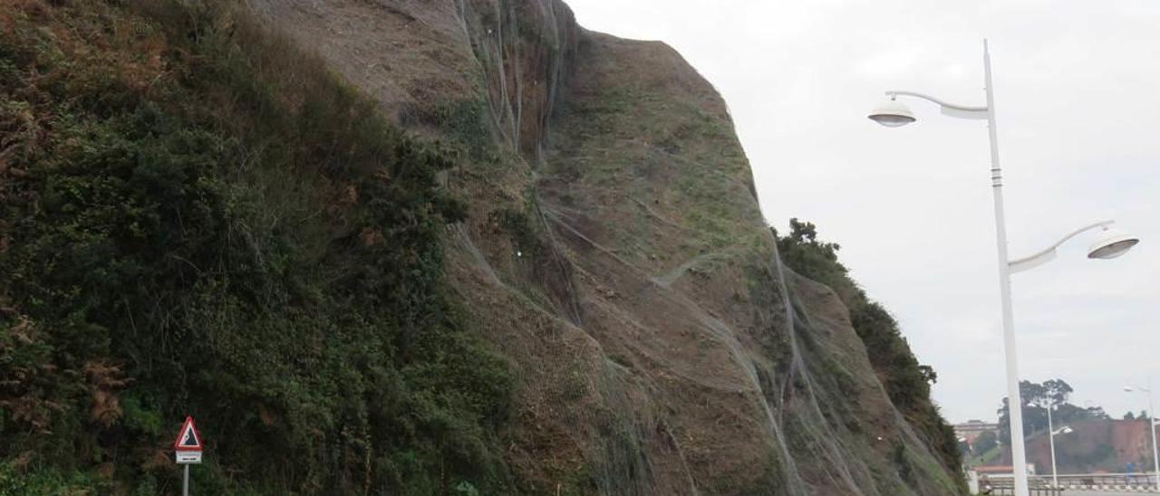 Nuevo mallado instalado en el monte Fuxa.