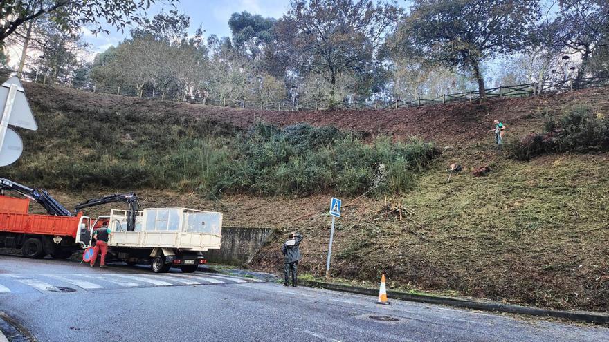 Las cartas para limpiar terrenos de Moaña con aviso de multa llegan hasta por fincas agrícolas