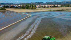 Alerta per l’esgotament dels aqüífers