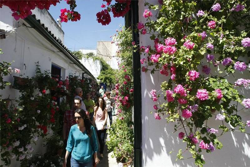 Marroquíes 6, patio ganador en la modalidad de arquitectura única