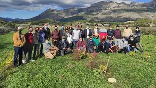 Altea tendrá vino propio con 600 cepas plantadas en el Molí dels Moros para recuperar su pasado medieval