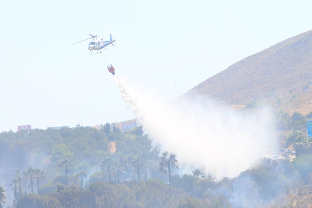 El fuego declarado en las inmediaciones de la autovía han obligado a cortar el tráfico en ambos sentidos y congestiona también la MA-20 en sentido Cádiz.