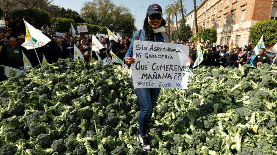 Tractorada de agricultores y ganaderos en el centro de Murcia.