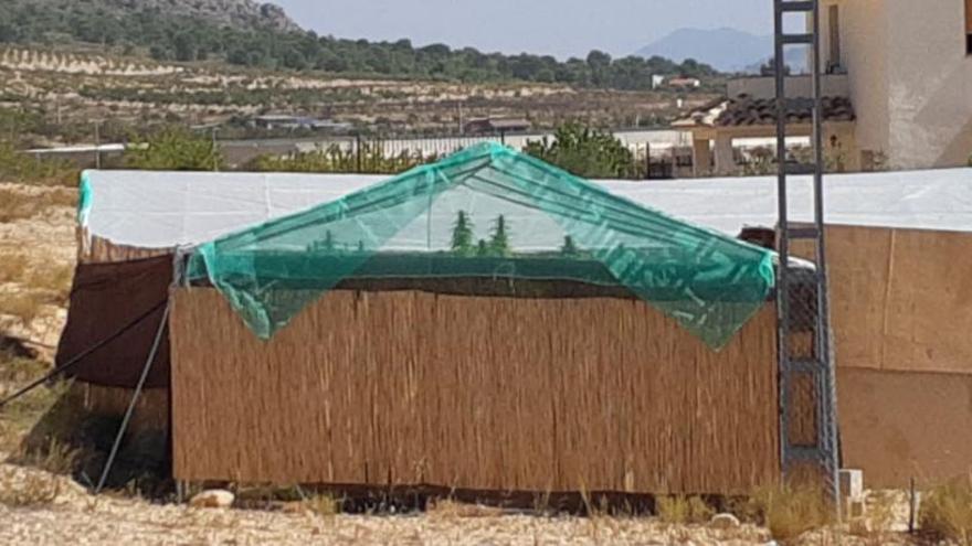 El cobertizo donde se ocultaban las plantas