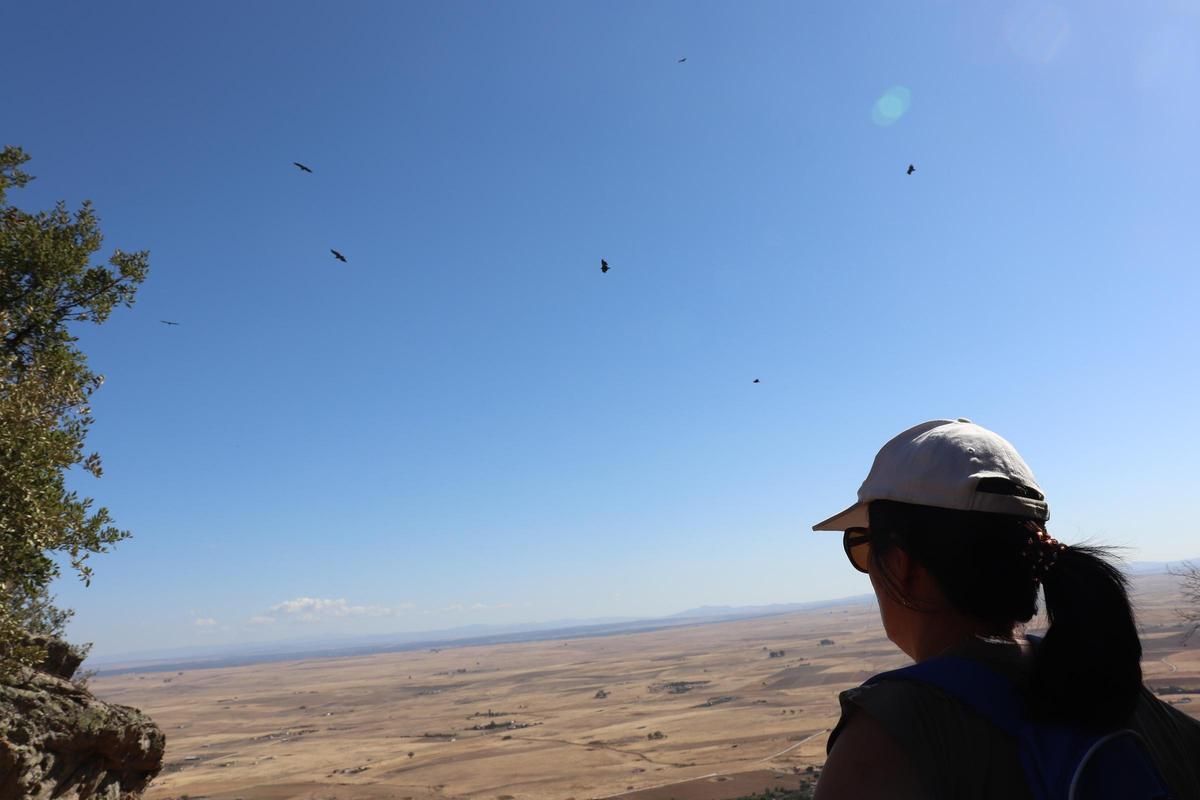 Una viajera contempla un grupo de rapaces en Sierra de Fuentes.