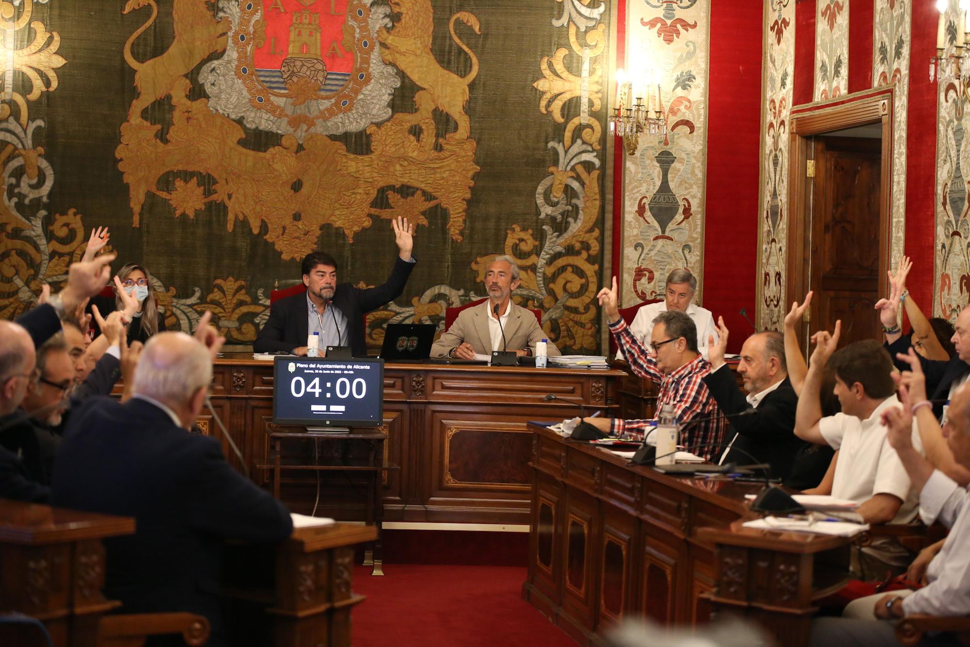 Pleno Municipal del Ayuntamiento de Alicante