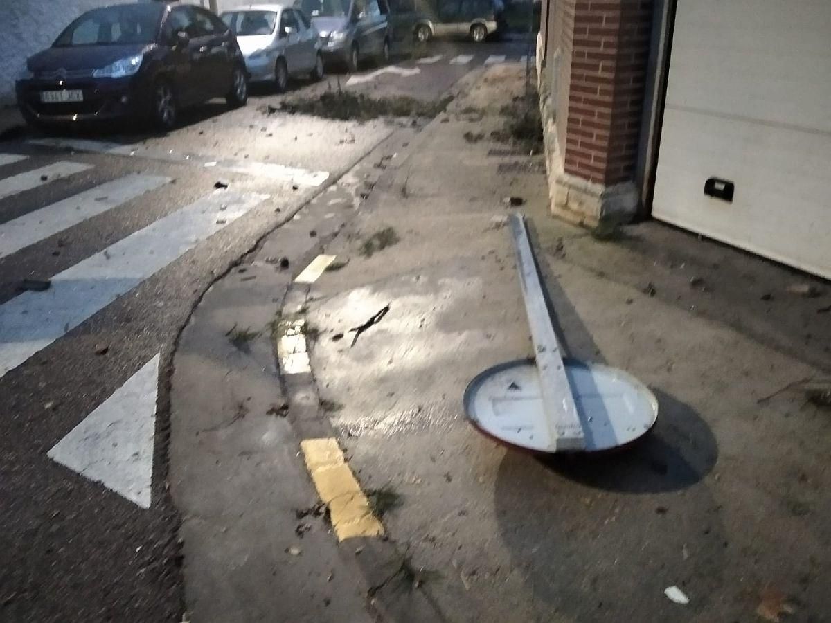 Daños causados por las fuertes rachas de viento registradas en Zaragoza por la borrasca 'Hortensia'