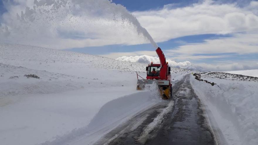 Trabajos de limpieza de la carretera a Peces