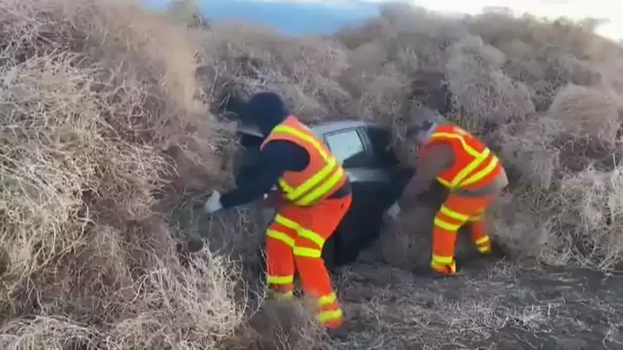 Miles de plantas rodadoras sepultan varios coches en una autopista de EEUU