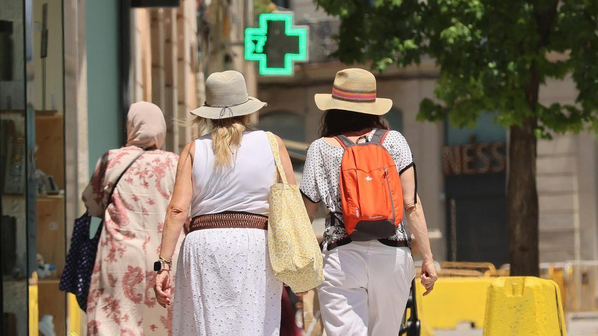 Quan les temperatures són elevades, convé reduir l’exposició directa al sol, especialment durant les hores centrals del dia