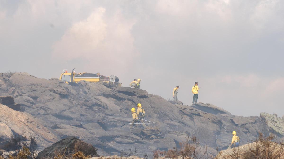 Trabajadores del operativo de la Junta durante un incendio en la Alta Sanabria