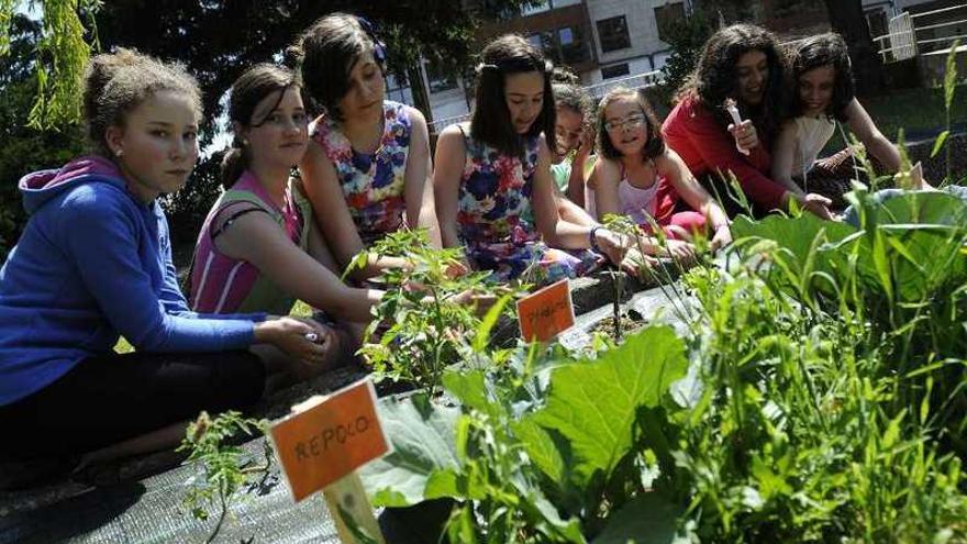 Los alumnos del centro mostraron ayer su huerto ecológico en Figueroa.