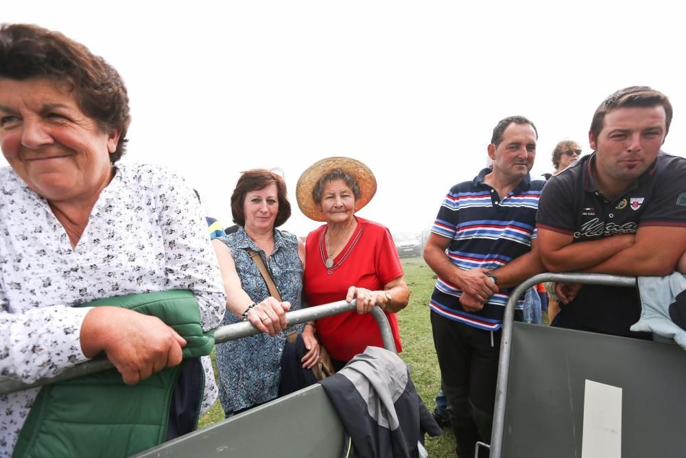 Fiesta del Pastor en el lago Enol