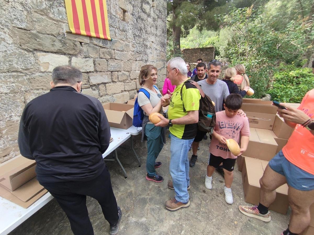 Festa del Panellet de Sant Vicenç, a Vallhonesta Festa del Panellet de Sant Vicenç, a Vallhonesta