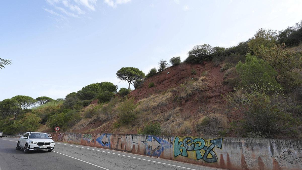 El talús on s'actuarà a la carretera Sant Feliu.