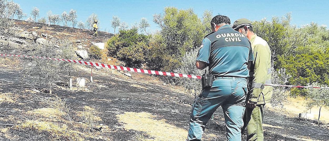 Agentes de la Guardia Civil analizan un terreno forestal afectado por un fuego.