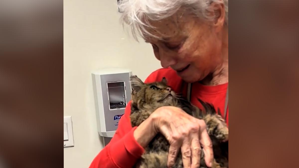 El emotivo reencuentro de una mujer y su gato tras los incendios de Los Ángeles