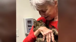 La protectora de Sax denuncia la muerte "a golpes" de un gato en plena calle