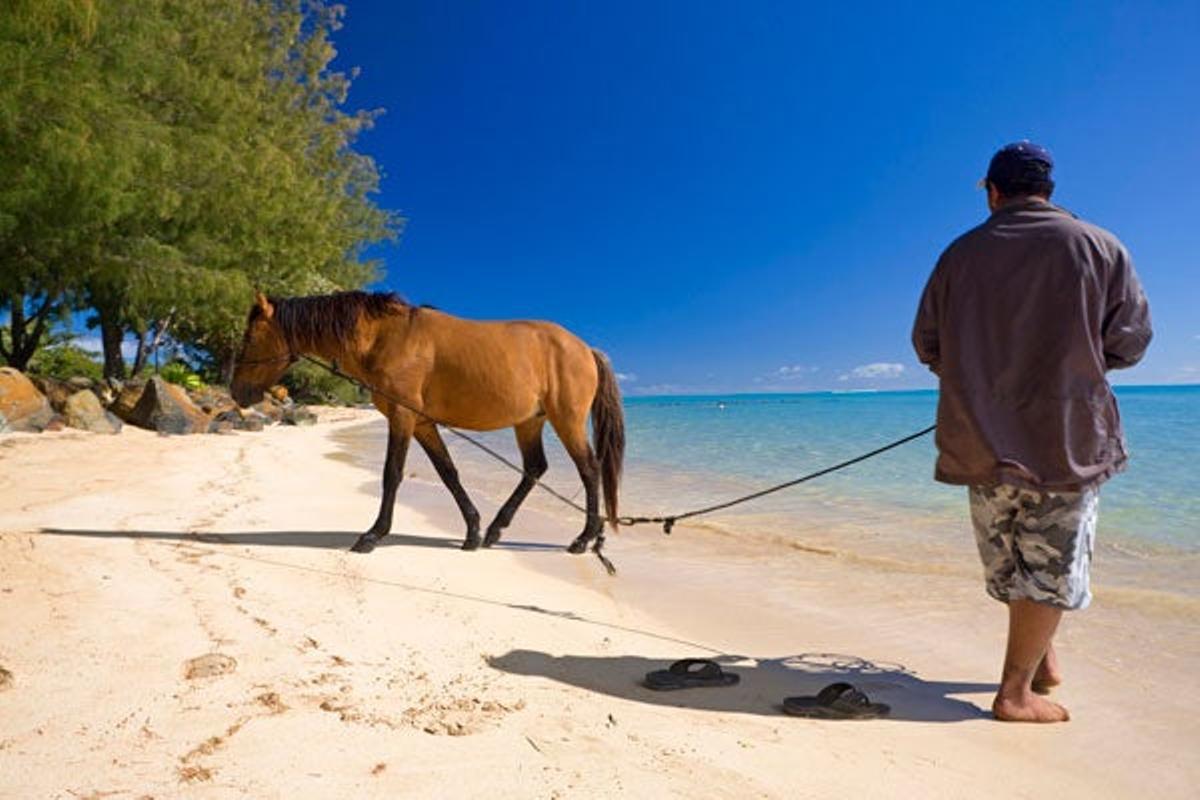 Isla Tubuai, tammbién llamada Moutou. Isla Tubuai, tammbién llamada Moutou.
