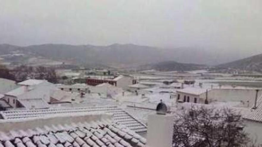 El pasado año, el 18 de enero la nieve cubrió buena parte de la provincia. Imagen de Alfarnate.