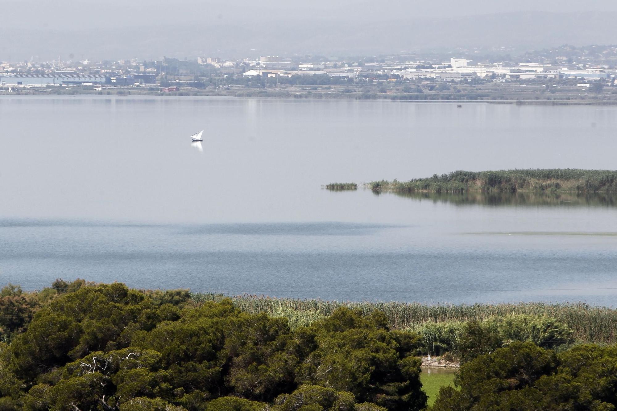 Un paseo por los humedales más bonitos de la Comunitat Valenciana