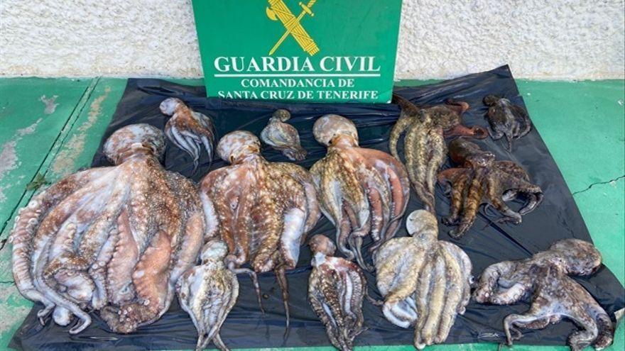 Sorprenden a un furtivo en Tenerife con 14 kilos de pulpo y 1,2 de lapas