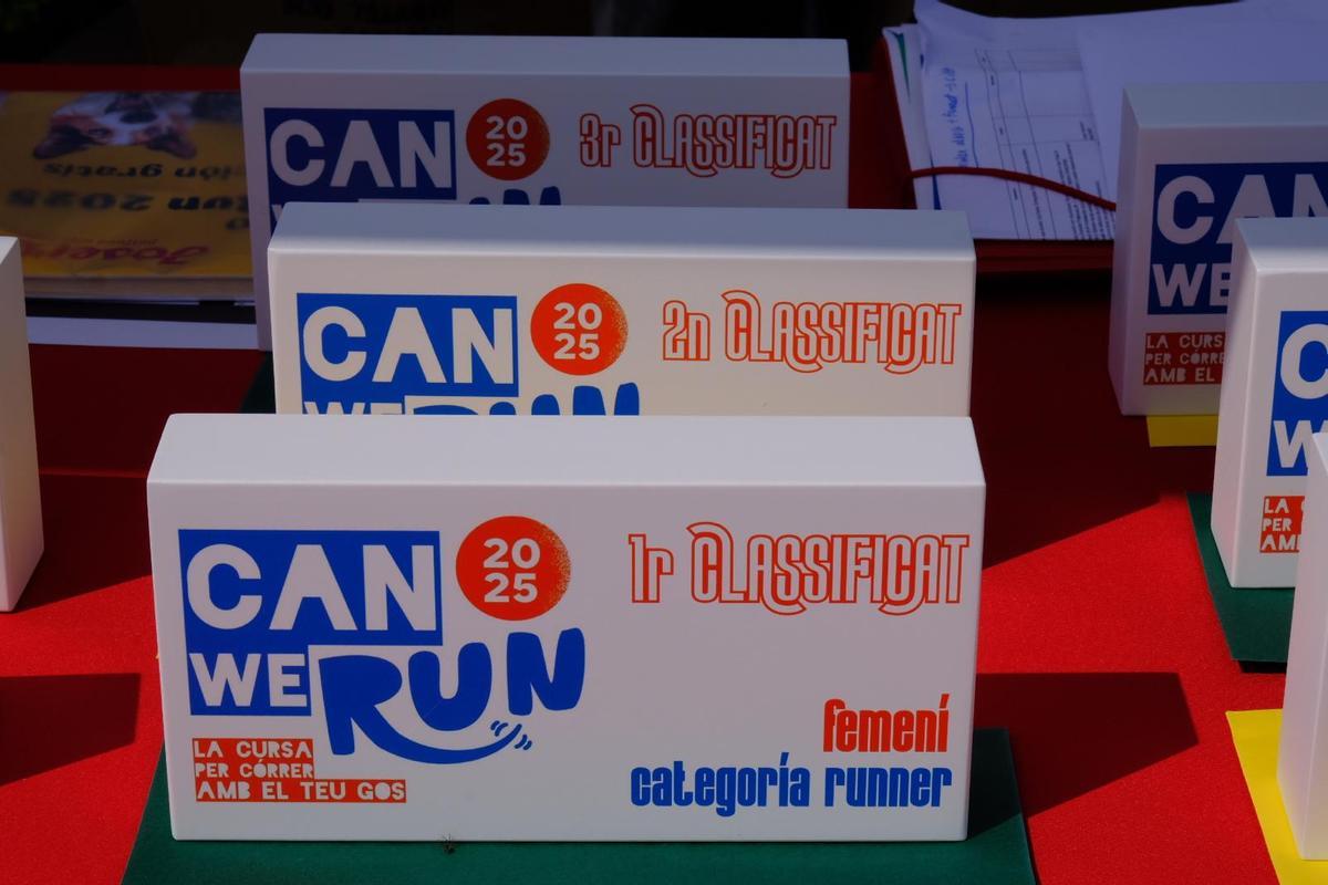 Carrera Can We Run 2025