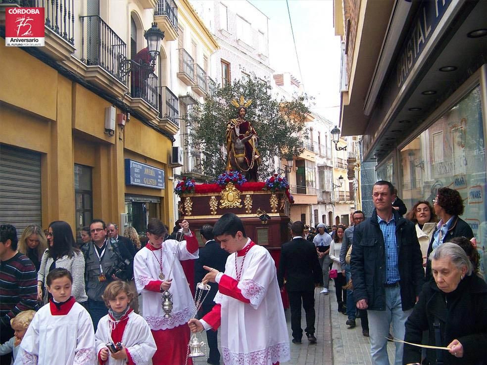 FOTOGALERÍA / El Domingo de Ramos en la provincia