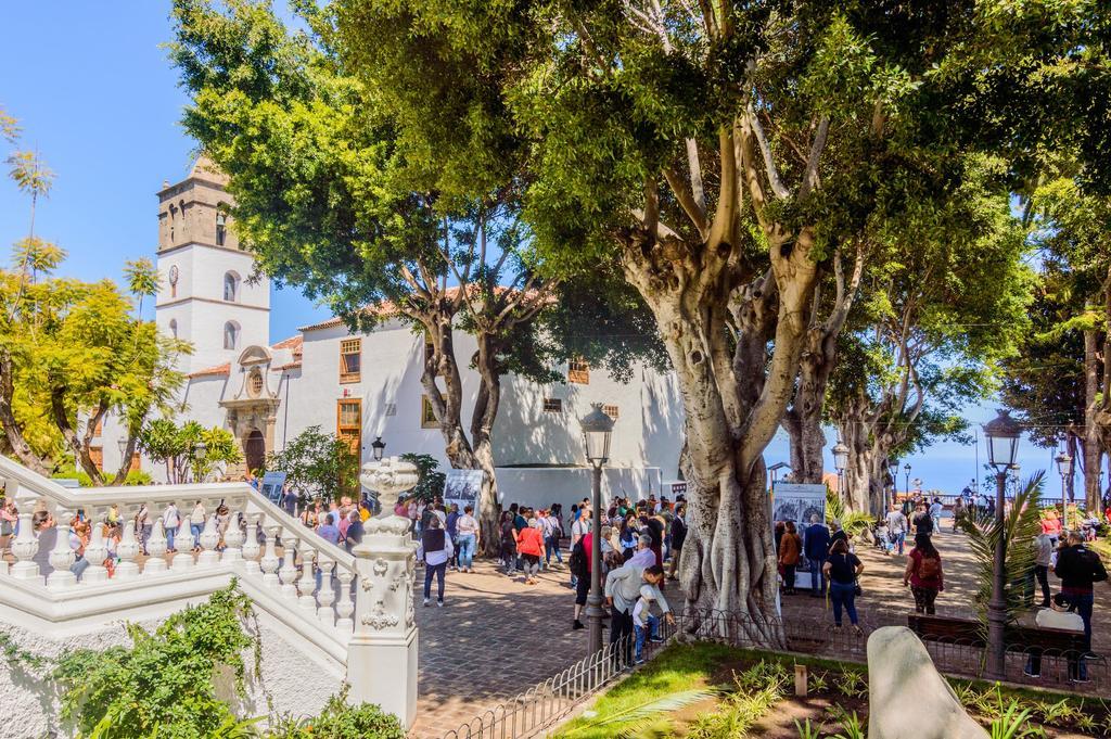 Drago milenario de Icod de los Vinos, en Tenerife, Pueblo Mágico del Año 2023