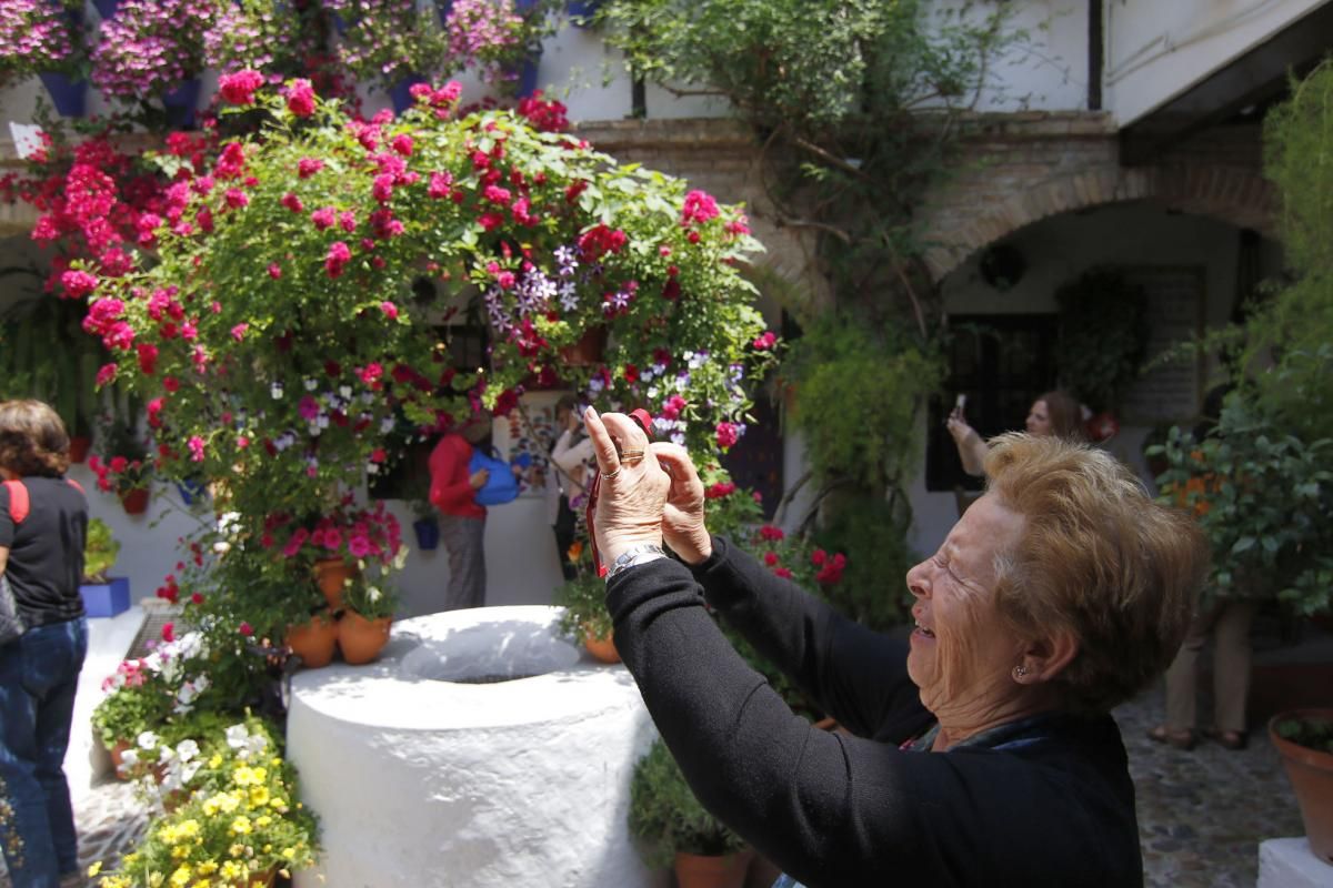 Paseando por el Alcázar Viejo