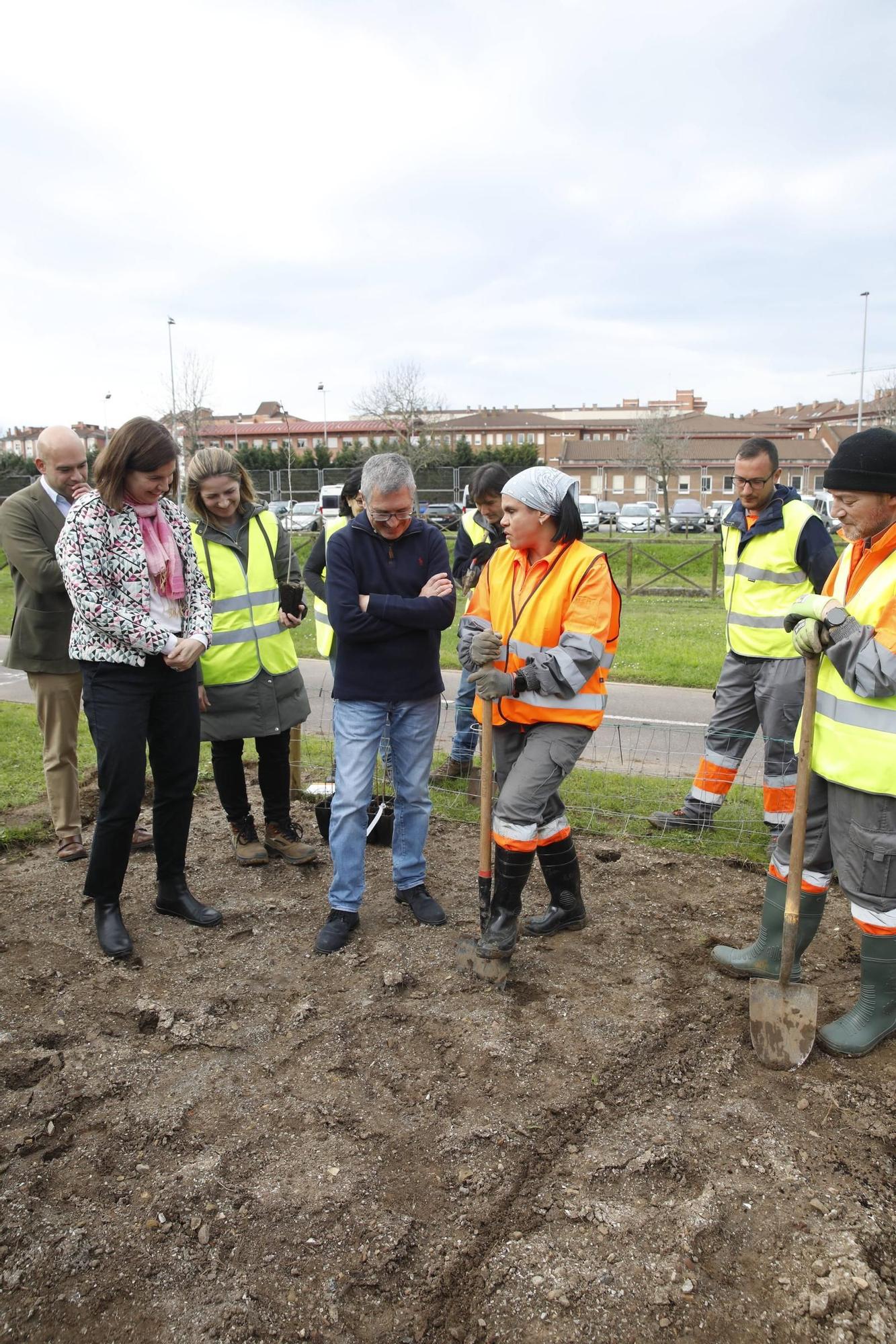 El secretario de Estado Hugo Morán participa en la plantación de minibosques en Gijón (en imágenes)