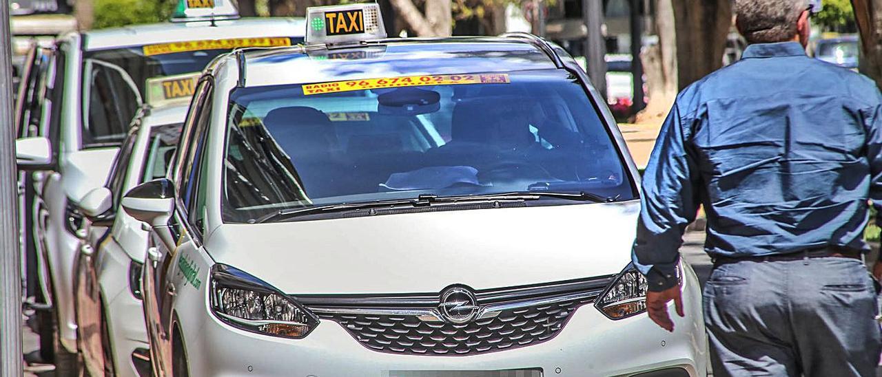 Una parada de taxis con varios vehículos esperando usuarios en el centro de Orihuela.